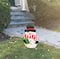 31" Christmas Snowman Holding Gift Metal Yard Stake